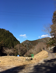 sdfrer