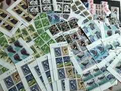 IMG_7068_R