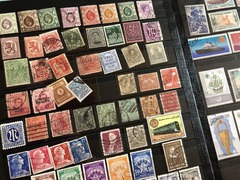 IMG_2943