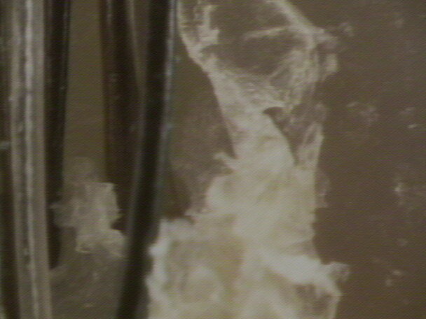 AUT_0027