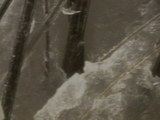 1452bcc9.JPG