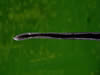 347d7384.jpg