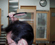 804da5b3.gif
