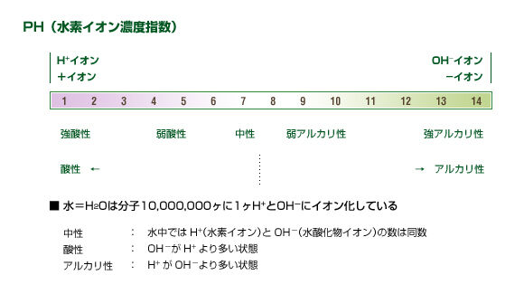 img_SNshampoo_acid_entry_01