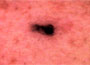 d4d545c8.jpg