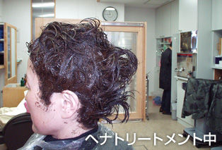 ヘナトリ−トメント中