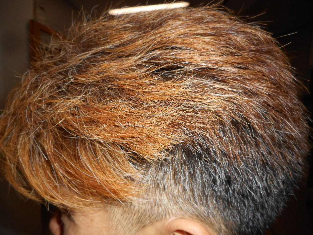 ��ƻ����