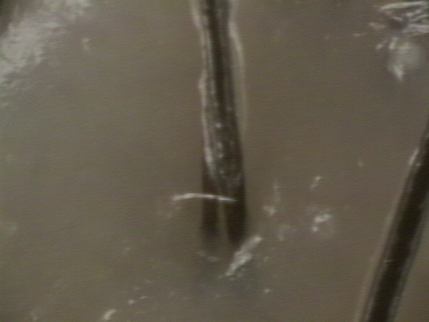 AUT_0017