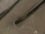 f3f77186.JPG
