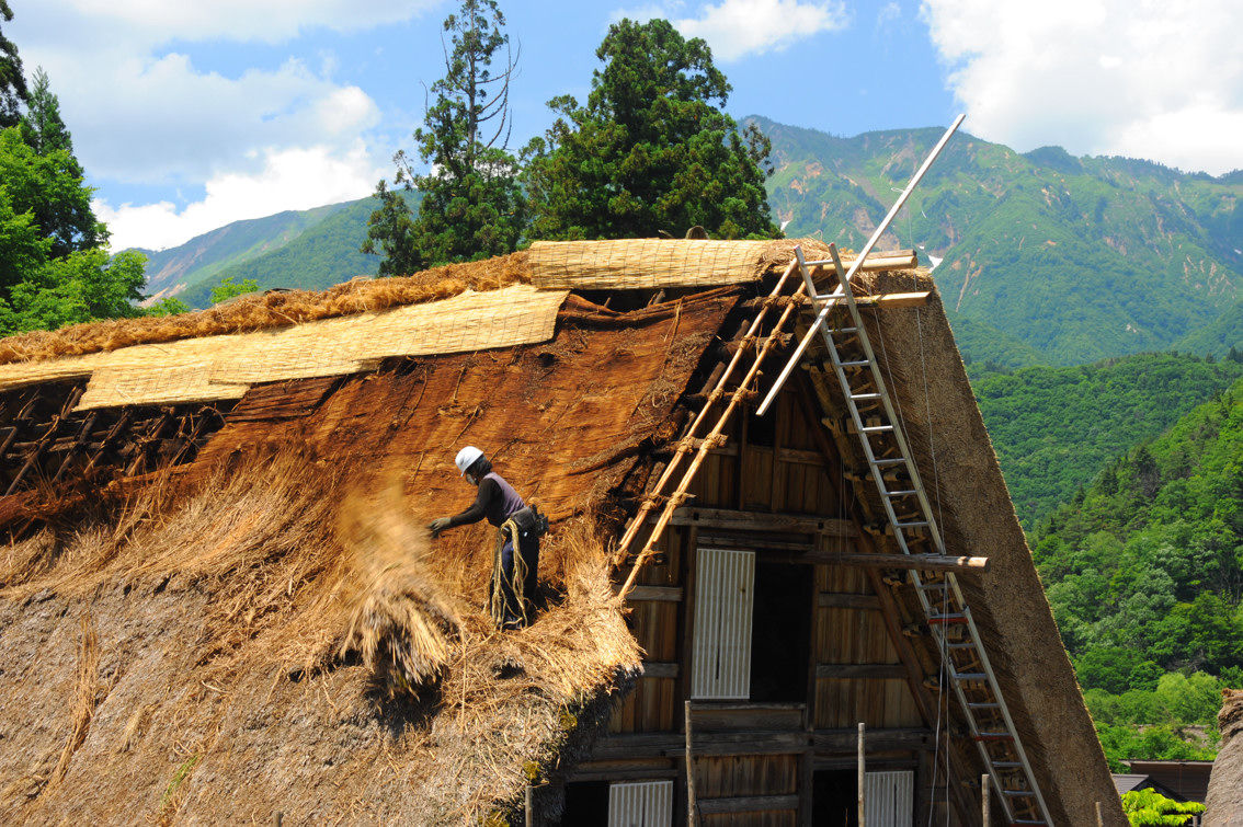 合掌を葺き替えるということ 前篇 五箇山彩時季 四季合掌 A 合掌を葺き替えるということ 前篇 五箇山彩時季 四季合掌 A