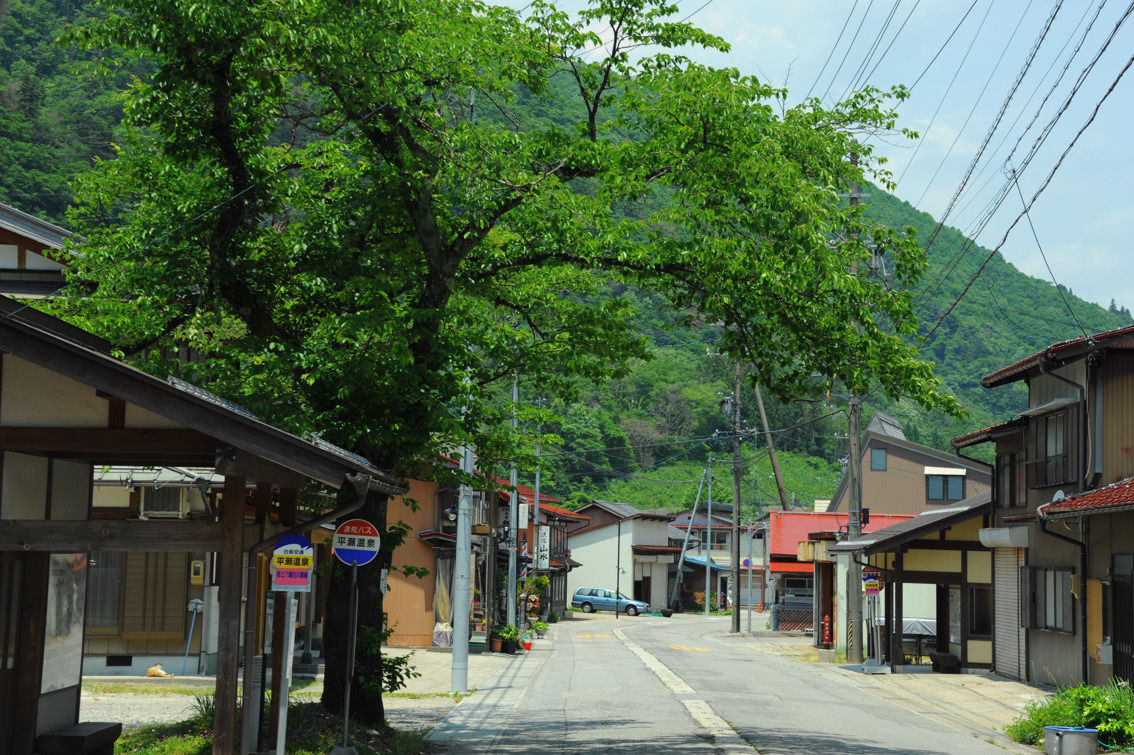 ありし日の国鉄バス名金線を辿って 後篇 五箇山彩時季 四季合掌 A