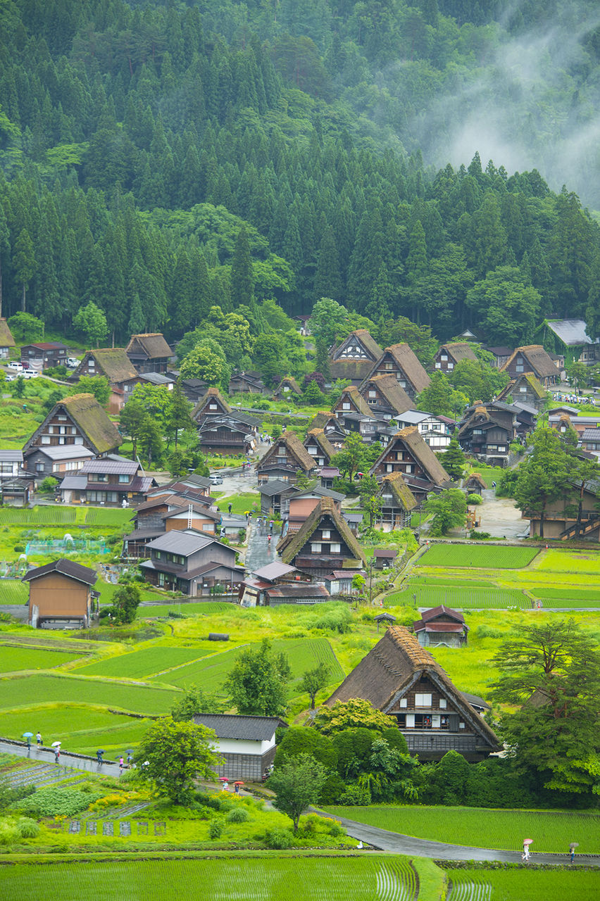 ひと夏 雨に打たれて白川郷 五箇山彩時季 四季合掌 A ひと夏 雨に打たれて白川郷 五箇山彩時季 四季合掌 A