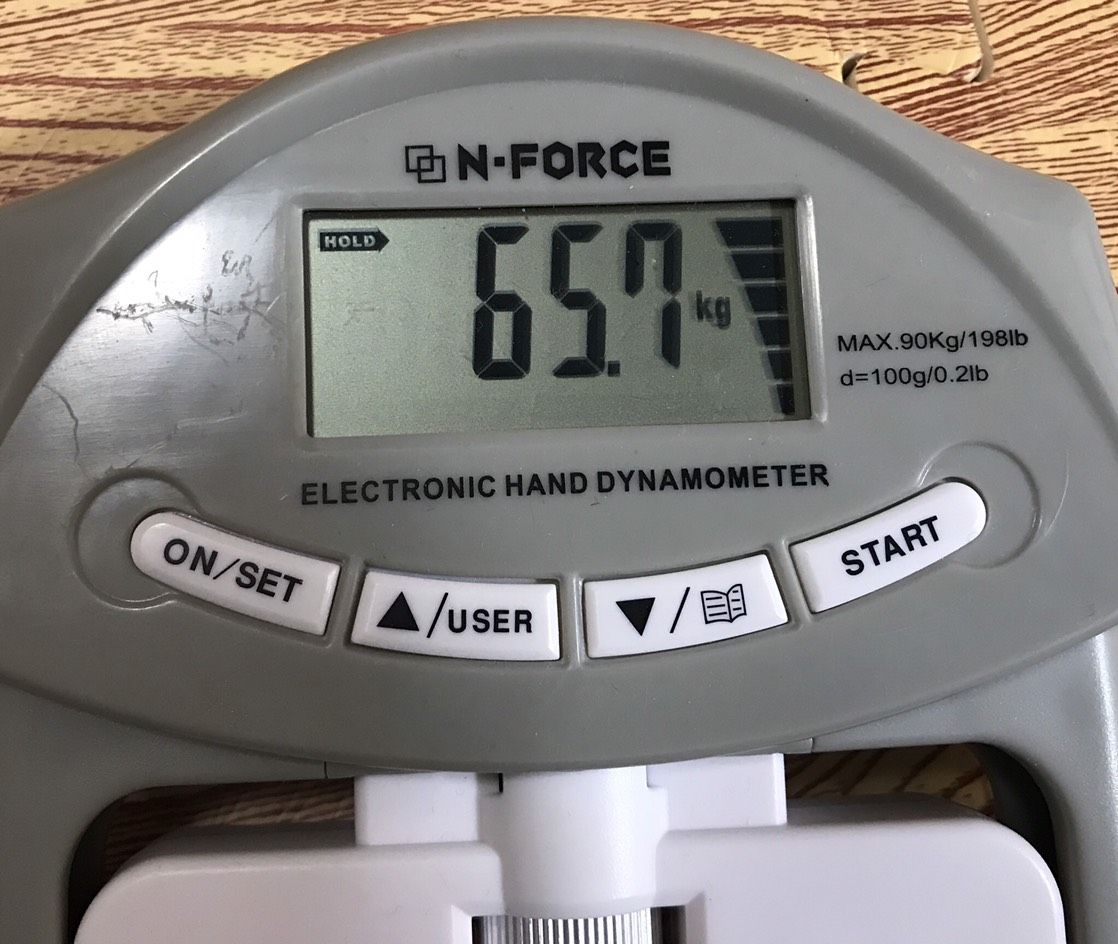 握力100kgへの道 目指せりんごクラッシュ とある医者のスクワット0kgへの道 目指せダンク 握力100kgへの道 目指せりんごクラッシュ とある医者のスクワット0kgへの道 目指せダンク