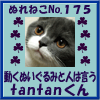983cb010.gif
