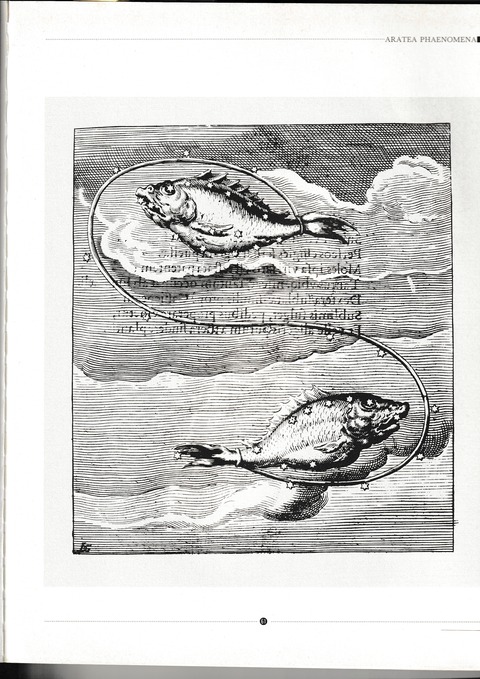 gro星座図帳魚座