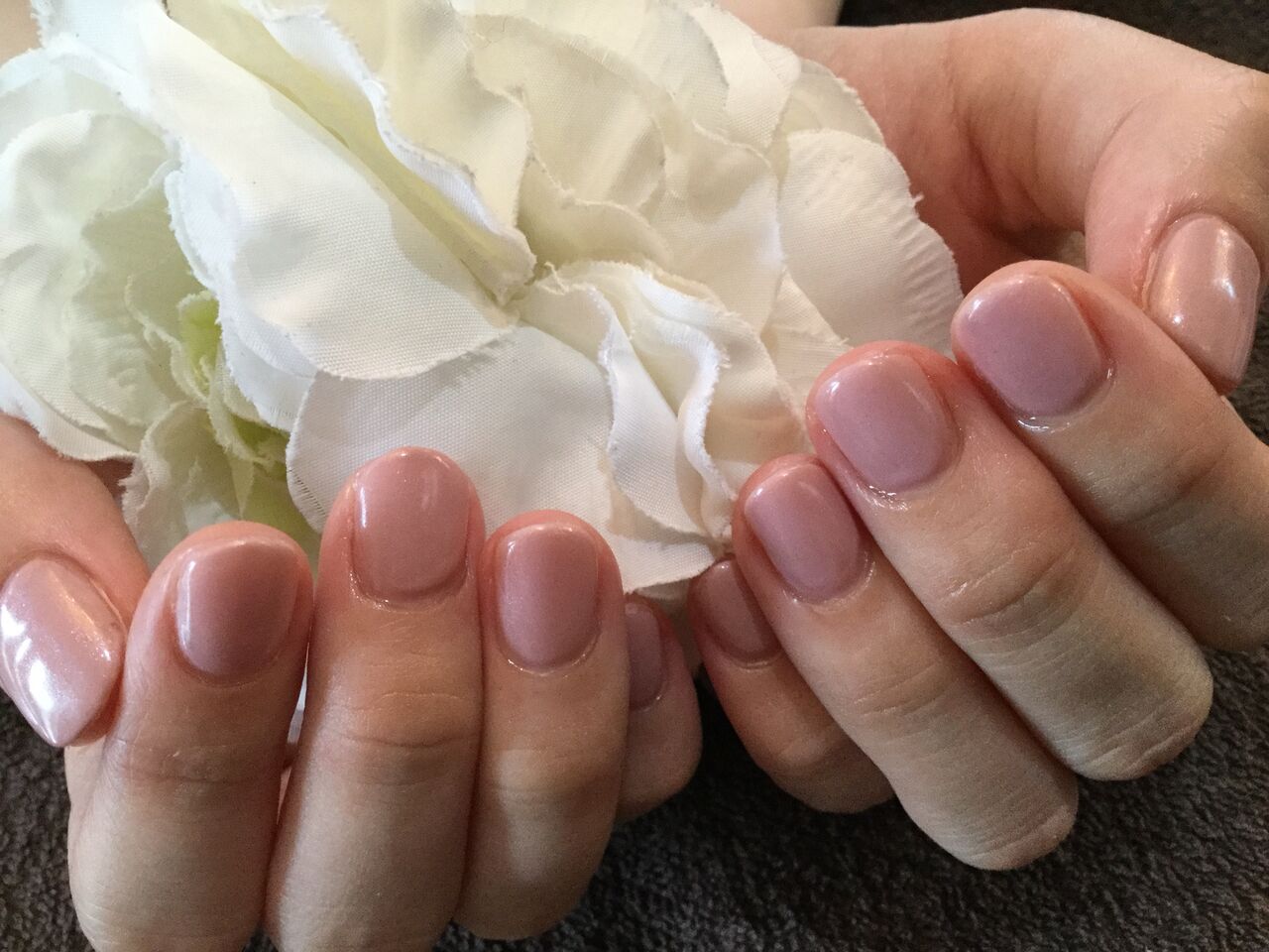 ネクターパールのシンプルワンカラーネイル Nail Salon Freestyle