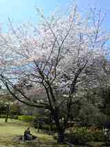 20090407戸定邸?1