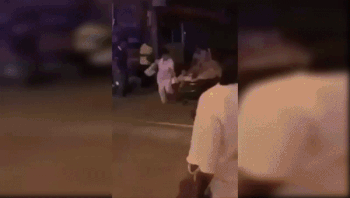 犬とのセックス gif 