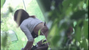 ezgif.com-gif-maker