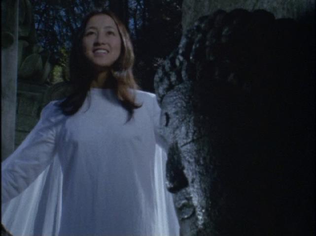 南夕子 あるダイスオージャの愉快ないたずら