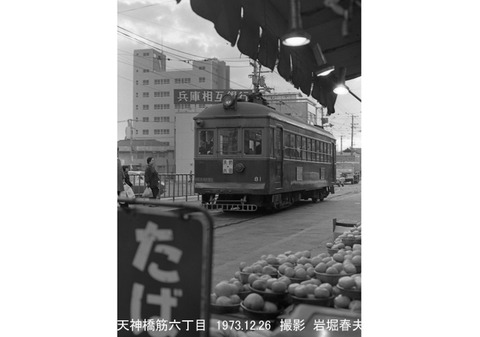 7315304 阪神81天六