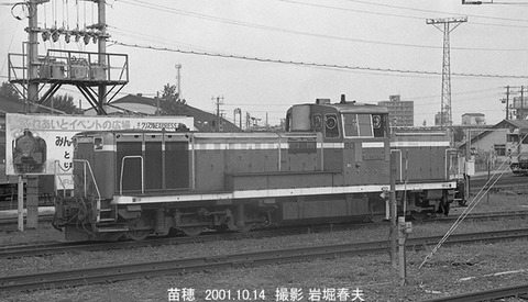 0110507　DE101742苗穂