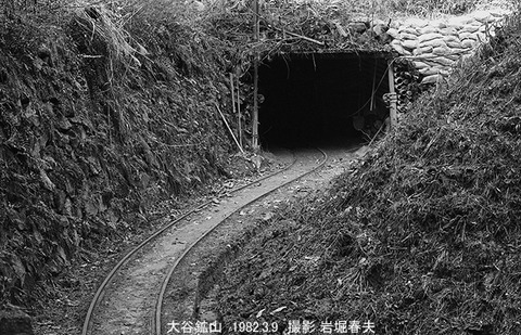 8201316 大谷鉱山