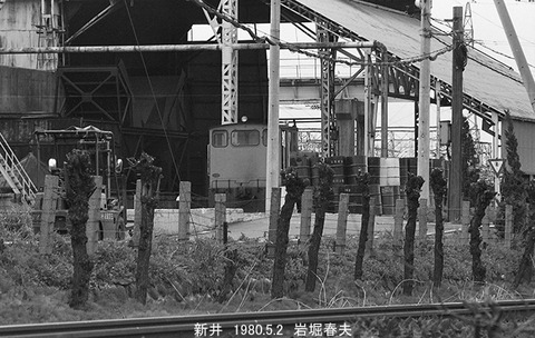 8003918　新井ダイセルNY