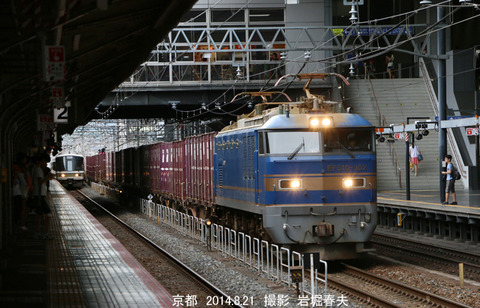 EF510502 ,京都n8044