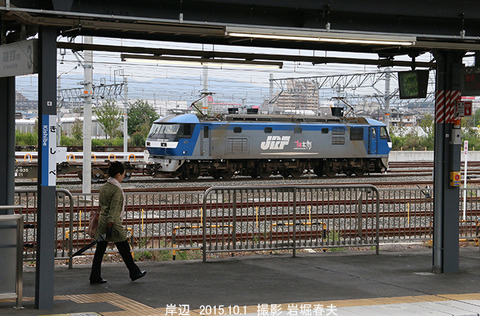 EF210157,岸辺ox571