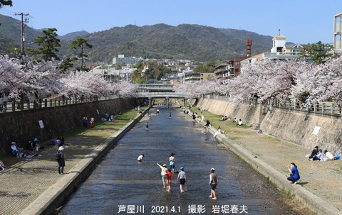 芦屋市 、芦屋川u4594