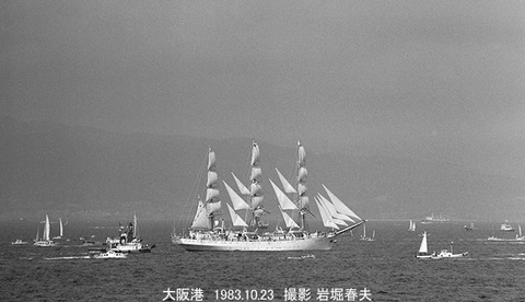 8306817 帆船パレード大阪