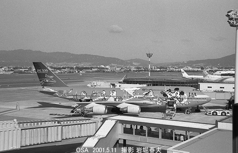 0103806 JAL B747 JA8904