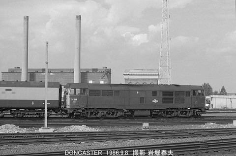 8606913　BR31219ドンカスター