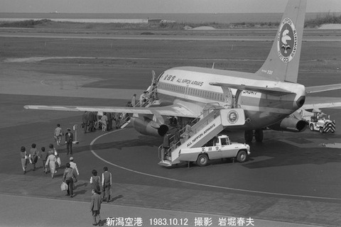 8304901 ANA B737 新潟