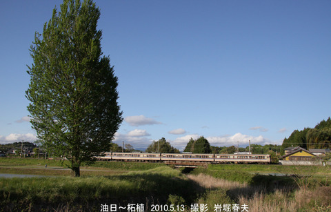 113 ,油日柘植j5303