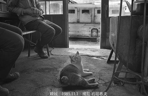 8509108　三井芦別炭鉱ナローDL