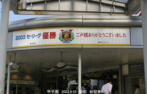 阪神 、甲子園4c9151