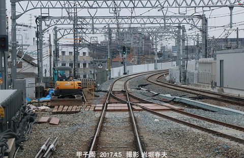 阪神 9甲子園q4491