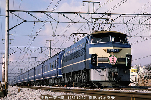 d608821　EF6644さくら茅ケ崎