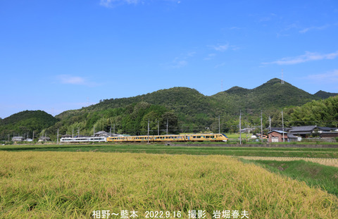 こうのとり 、藍本v9558