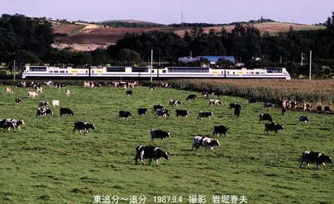 d711704 フラノana東追分