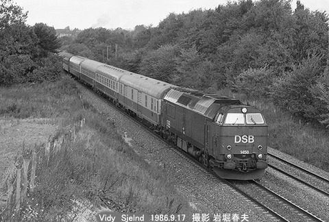 8607409 DSB1458ビビー