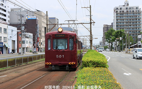 阪堺501 、妙国寺前x6240