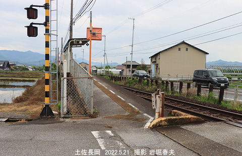 D39　土佐長岡1v5917