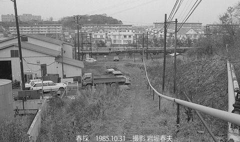 8508623　太平洋春採