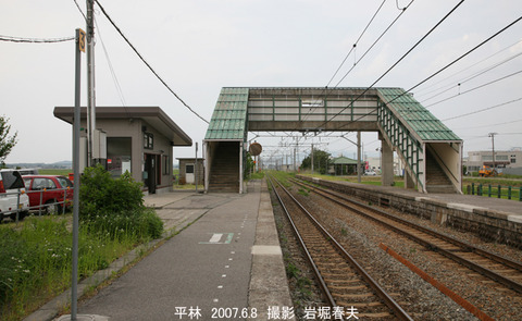 平林 3g6958