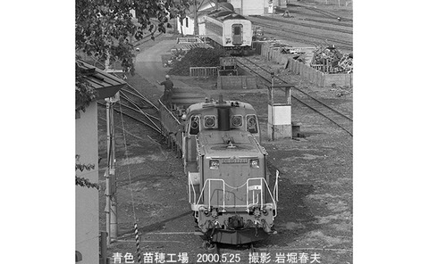 0005121 DE101741苗穂