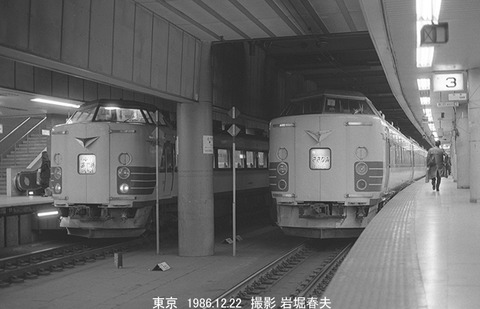 8611401 あやめさざなみ東京