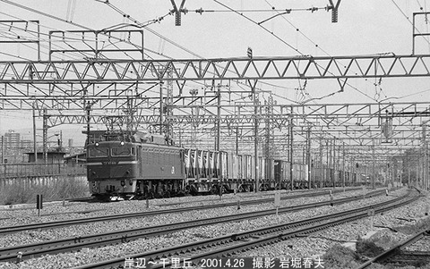 0103402 EF81110,岸辺